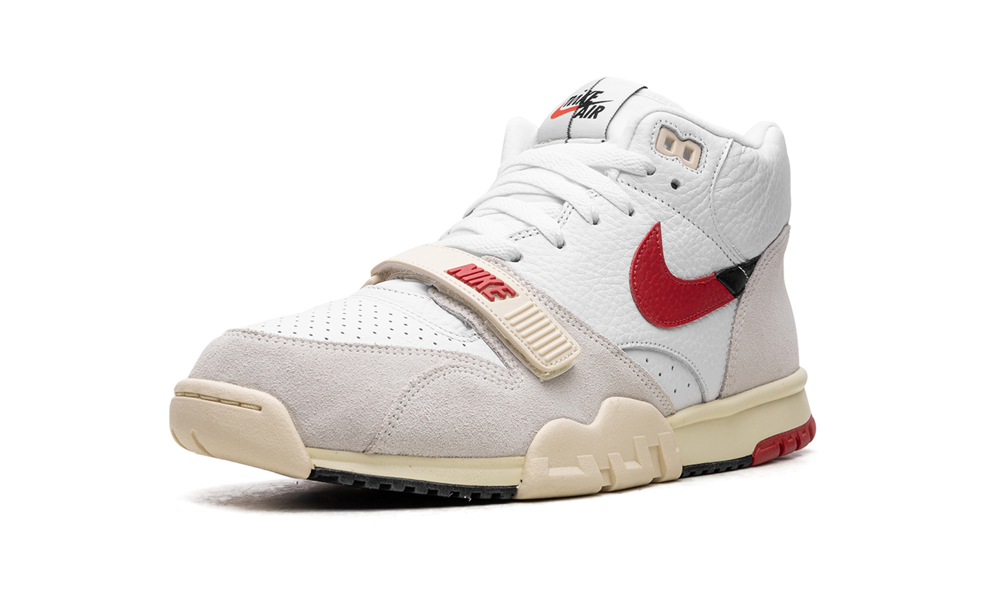 Air Trainer 1 "Split - Chicago" DZ2547 100