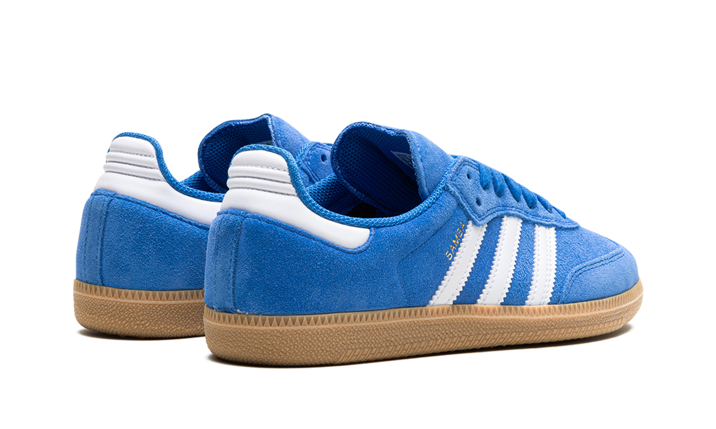 Samba Adv "Blue Bird" JP5719