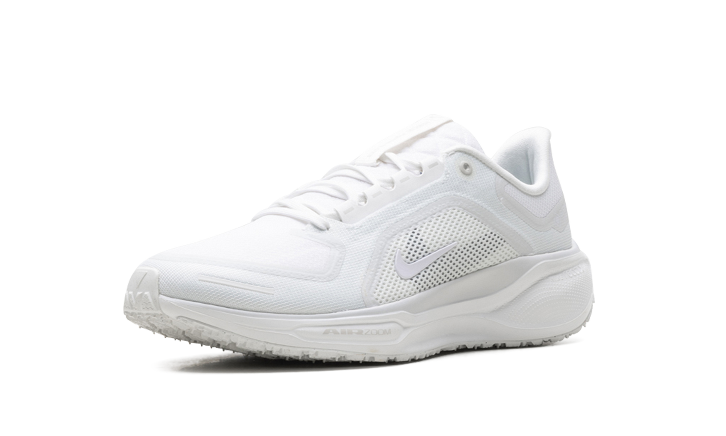 Air Zoom Pegasus 41 "Gore-Tex" FQ1356 101
