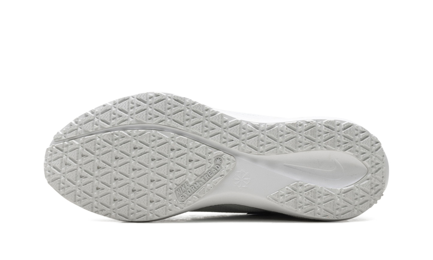 Air Zoom Pegasus 41 "Gore-Tex" FQ1356 101