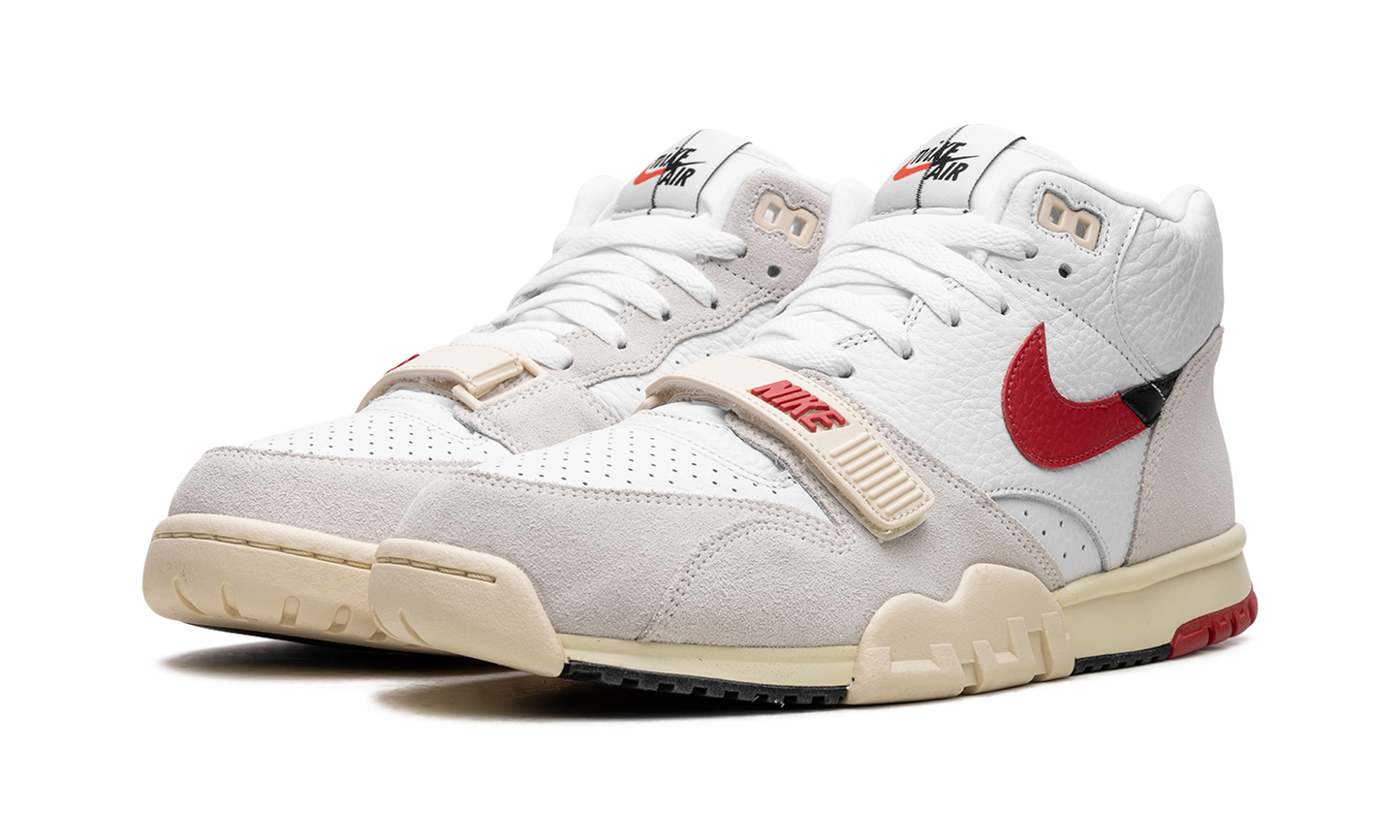 Air Trainer 1 "Split - Chicago" DZ2547 100